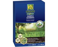 KB Sementi Evergreen Ombra, 1kg