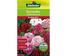 Dehner Blumen-Saatgut, Bartnelke, Gefüllte Mischung, 1.3 g Sementi, 5er Pack (5 x 1.3 g)