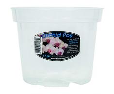 Vaso di orchidea trasparente 17 cm