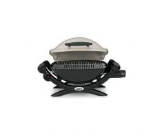 Weber Barbecue Q 2000 Titanium -A Gas