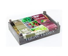 geschenkartikel-shopping - Semi per Insalata, da Giardino, per Piante e Piante