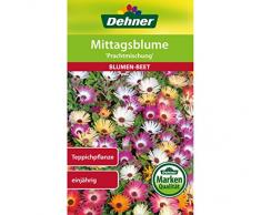 Dehner Blumen-Saatgut, Mittagsblume Prachtmischung, 0.8 g Sementi, 5er Pack (5 x 0.8 g)