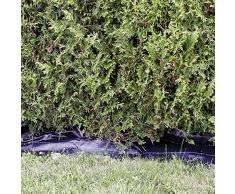 Prima Flora siepe in tessuto non tessuto, Nero, 0,5 x 20 m