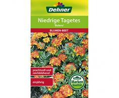 Dehner Blumen-Saatgut, Niedrige Tagetes, Bolero, 1.3 g Sementi, 5er Pack (5 x 1.3 g)