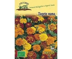 Arcoiris FIO08 Sementi