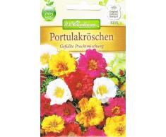 n.l. chrestensen 5215 Fiore sementi, Verde, 8,2 x 0,5 x 13 cm