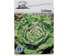 Arcoiris BU020 Sementi