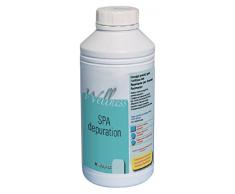 New Plast 2964 - Detergente per la pulizia interna di SPA, Flacone 1 Lt