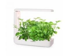 GrowIt cucina Smart Indoor Garden 12 piante 25W LED 2 litri
