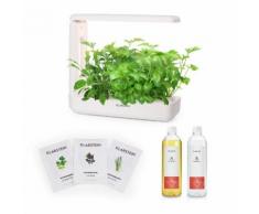 GrowIt Cuisine Starter Kit Asia 12 Piante 25W LED Asia-Seeds Soluzione Nutritiva