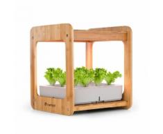 Urban Bamboo Giardino Idroponico 12 Piante 24W LED 7 Litri Bambù