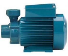 Calpeda SPA Elettropompa con girante periferica Calpeda TM 65E 0,6 HP