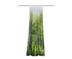 Home fashion Tenda ad Occhielli, Tessuto, Verde, 245 x 120