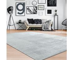 Tappeto per Soggiorno Unicolore Lavabile Morbido Pelo Corto Morbido, Dimensione:80x150 cm, Colore:Grigio