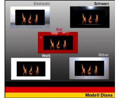 Bio Etanolo Caminetto Modell Diana (inox)