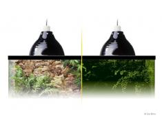 Plafoniera porta lampada per terrario diametro 21cm