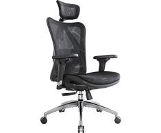 SIHOO Sedia ergonomica con supporto lombare, sedia da ufficio, braccioli regolabili in 3D, tessuto a rete delicato sulla pelle, poggiatesta regolabile, sedia da ufficio ergonomica (nero)