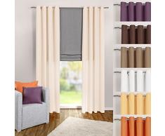 heimtexland ® Tenda con Occhielli, in Panna, a Tinta Unita, Opaca ma traslucida, 245 x 140 cm – Tenda Decorativa in Microfibra con Bellissimo Caso Leggero – Tenda Beige Typ117