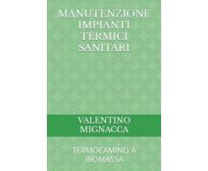 MANUTENZIONE IMPIANTI TERMICI SANITARI: TERMOCAMINO A BIOMASSA