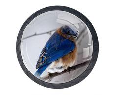 Bird 3D multi-angolo visivo cassetto maniglia per armadio Comò cassetto cabinet armadio libreria (4 pezzi)
