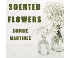 Sognando La Mia Cabina Armadio