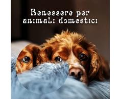 Letto comodo