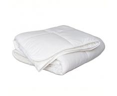 Piumino piumone con imbottitura anallergica 300 grmq matrimoniale E679