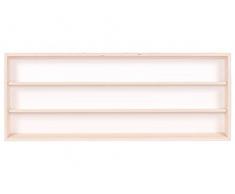Alsino V60.3a Vetrina espositiva | 60 x 30 x 8,5 cm | in Legno di Betulla Non trattato | 3 Ripiani | 2 Ante plexiglass scorrevoli | con Guide | Modellismo | Collezionismo | Scala N e H0