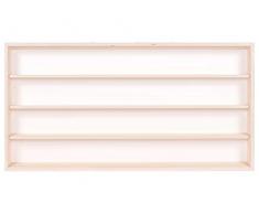 Alsino Vetrina (V60.4a) con scanalature per modellismo scala H0 e N in legno di betulla, con 2 vetri di plexiglas, Dimensioni 60 x 39 x 8,5 cm, vetrinetta, bacheca, espositore, collezionismo