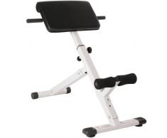 Physionics® Panca per Schiena e Addominali - Pieghevole, Altezza Regolabile in 4 Livelli, Inclinazione 45 °, Carico Massimo 120 kg - Panca Romana, Iperestensione, Allenamento dei Dorsali