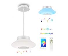 Horevo Lampadari Moderni Musica LED, 30W Acrilico Lampada a Sospensione Regolabile, Telecomando+APP, Ø30cm RGB Bianco Lampadario Dimmerabile per Cucina Sala da Pranzo, Soggiorno, Cameretta