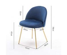 Sedia Oro Ferro Art Makeup Chair Camera da Letto Schienale Sgabello Casa Multifunzione Spogliatoio Stile Europeo Protezione Ambientale Sedia da Pranzo Moderna Panca Scarpa cambiata,pinkvelvetgoldlegs
