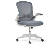 IntimaTe WM Heart Sedia da Ufficio Ergonomica, Sedia da Scrivania in Rete Traspirante, Sedia Girevole con Braccioli Regolabili e Supporto Lombare, per Ufficio Studio, grigio