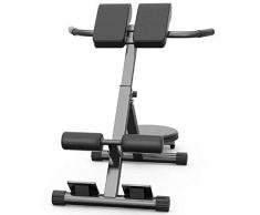 Palestra per Sedia Romana, Allenamento Addominale per Iperestensione della Panca, Sistema di Chiusura Regolabile Ergonomicamente in Altezza, Sgancio Rapido Panca Iperestensione