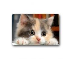 ZMvise - Zerbino in flanella di flanella con simpatici gatti, per ingresso, ingresso e ingresso e ingresso esterno, tappetino in gomma antiscivolo, 15,7 x 59,9 cm