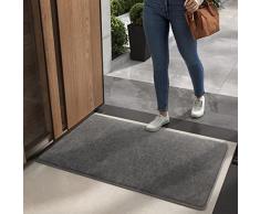 Color G Zerbino 50 x 80 cm, Lavabile in Lavatrice Zerbino Ingresso Antiscivolo, Assorbente Tappeto Ingresso Interno per Ingresso Interno, Soggiorno, Bagno, Animali e Cani (Grigio)