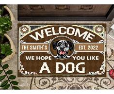 Zerbino Ingresso Esterno Simpatico Dalimata Zerbino Simpatico Confortevole Tappeti DIngresso per Terrazzo Camera Letto Balcone 40X60Cm