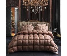 Cactuso piumone Letto Singolo Bambini,Piumino in Piuma DOca Bianca Trapunta Invernale Doppia Trapunta in Piuma DAnatra ritorta-220x240 cm 4000 g_S