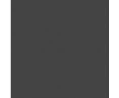 Hudson Reed Loa Scaldasalviette Moderno di Design Verticale ad Acqua - Termoarredo Bagno Contemporaneo a Scaletta - Acciaio Antracite - 474W - 800 x 500mm