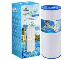 TOREAD TRF-4950 Filtro Spa sostituisce Unicel C-4950, Pleatco PRB50-IN, Guardian 413-212-02, Filbur FC-2390, 373045, 03FIL1600, 17-2380, Jacuzzi J210/J220/J235/J235 45/J2 75