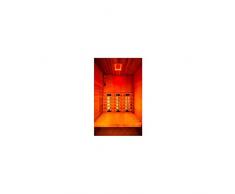Holl's Multiwave-Sauna a infrarossi, 2 posti