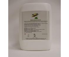 Essenza di Eucalipto Globulus e Mentolo idrosolubile a base di olio essenziale in acqua stabilizzata bagno turco e doccia emozionale. 5LT