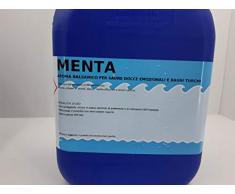 Essenza concentrate per Sauna, bagno turco e doccia emozionale 1 LITRO / 5 LITRI (MENTA, 1 LITRO)