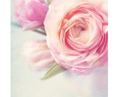 Sigel - 50 fogli di carta da lettere decorata, motivo: rosa, formato A4