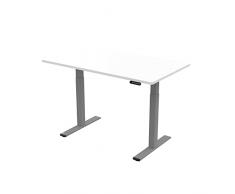 ALLDREI Scrivania elettrica regolabile in altezza con 4 controlli di memoria, 2 motori, telescopio a 2 posizioni, con desktop (grigio + bianco) (140 x 80 cm)