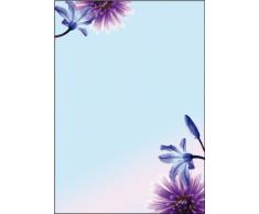 Sigel GmbH DP903 - Carta da lettere decorata "Emozione blu", 90 g, formato DIN A4, confezione da 50 fogli, ideale per stampanti a getto d'inchiostro/laser e fotocopiatrici