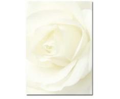 Paper-Media - Carta per lettere, motivo rosa bianca, formato A4, confezione da 20 fogli