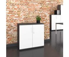 WeberBÜRO Armadio per archiviazione Profi chiudibile a Chiave 2OH Bianco Antracite Armadio per Ufficio Armadio a Battente con Porta a Battente