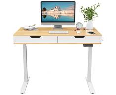 FLEXISPOT EHD2 Scrivania Regolabile in Altezza Scrivania Elettrica Scrivania Motorizzata Scrivania Altezza Regolabile Standing Desk con Funzione Touch e Porte USB
