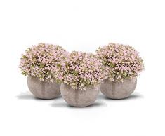 Zalava Set di 3 Piante Artificiali in Vasi Tondi Piante Grasse Finte da Interno per Decorazione Casa Ufficio Scrivania Tavolo Cucina Balcone Matrimonio Bagno di Casa, Rosa